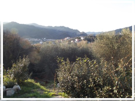 vista sulle colline tra cinque terre e toscana, a luce stellata